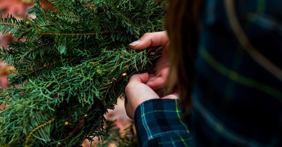 lee-campbell-Bn6Zncg-5U8-unsplash